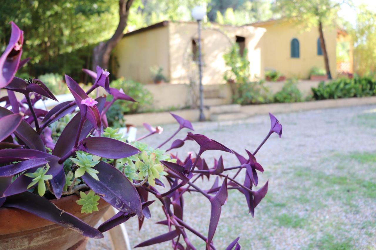 Villa Teresa Porto Azzurro Dış mekan fotoğraf
